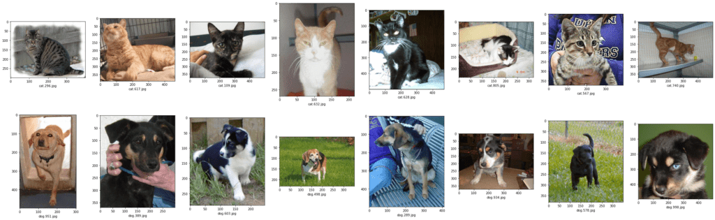 classifying cats and dogs convolutional neural networks