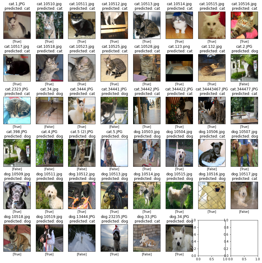 image classification - the image shows several dogs and cats