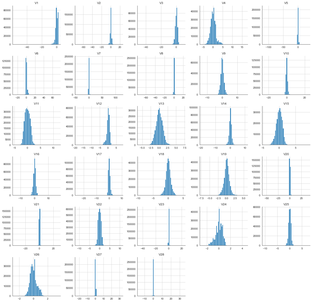 Multivariate Anomaly Detection on Time-Series Data in Python: Feature frequency distributions on credit card data